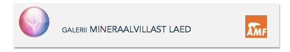 amf galerii icon